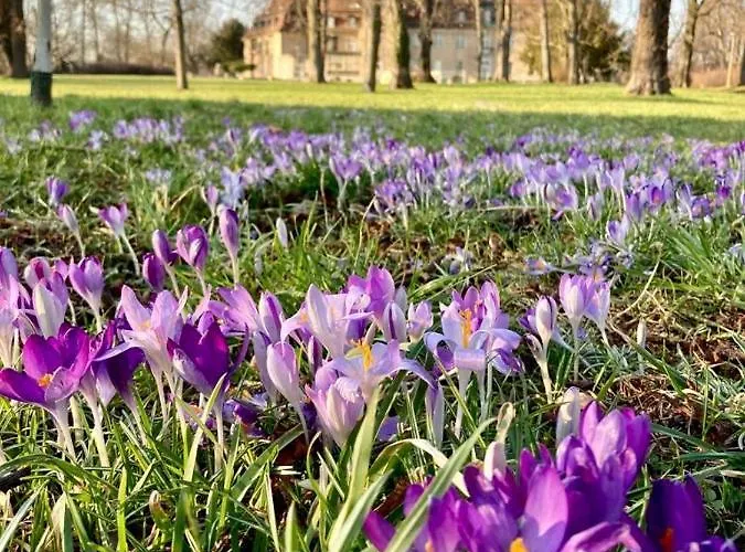 Diegalerie Am Schlosspark Marquardt